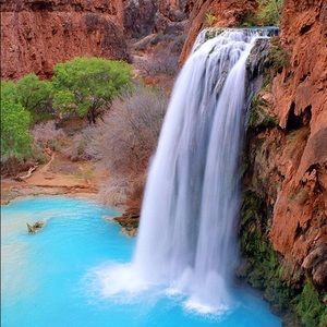 Meet your Posher, Ronald